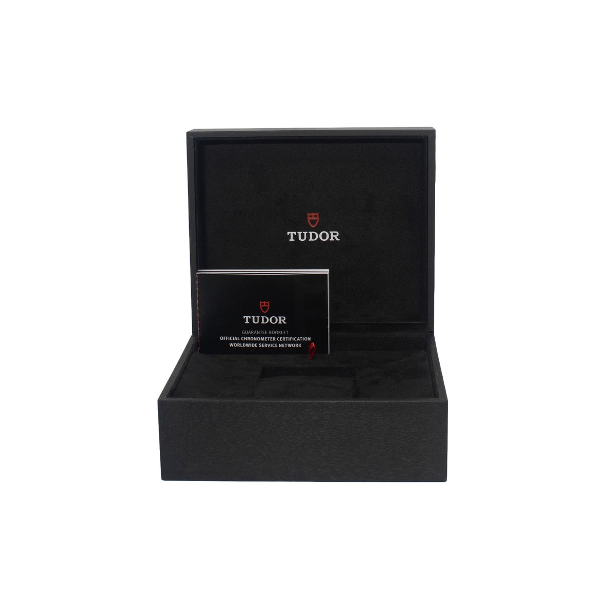 Tudor Black Bay Pro