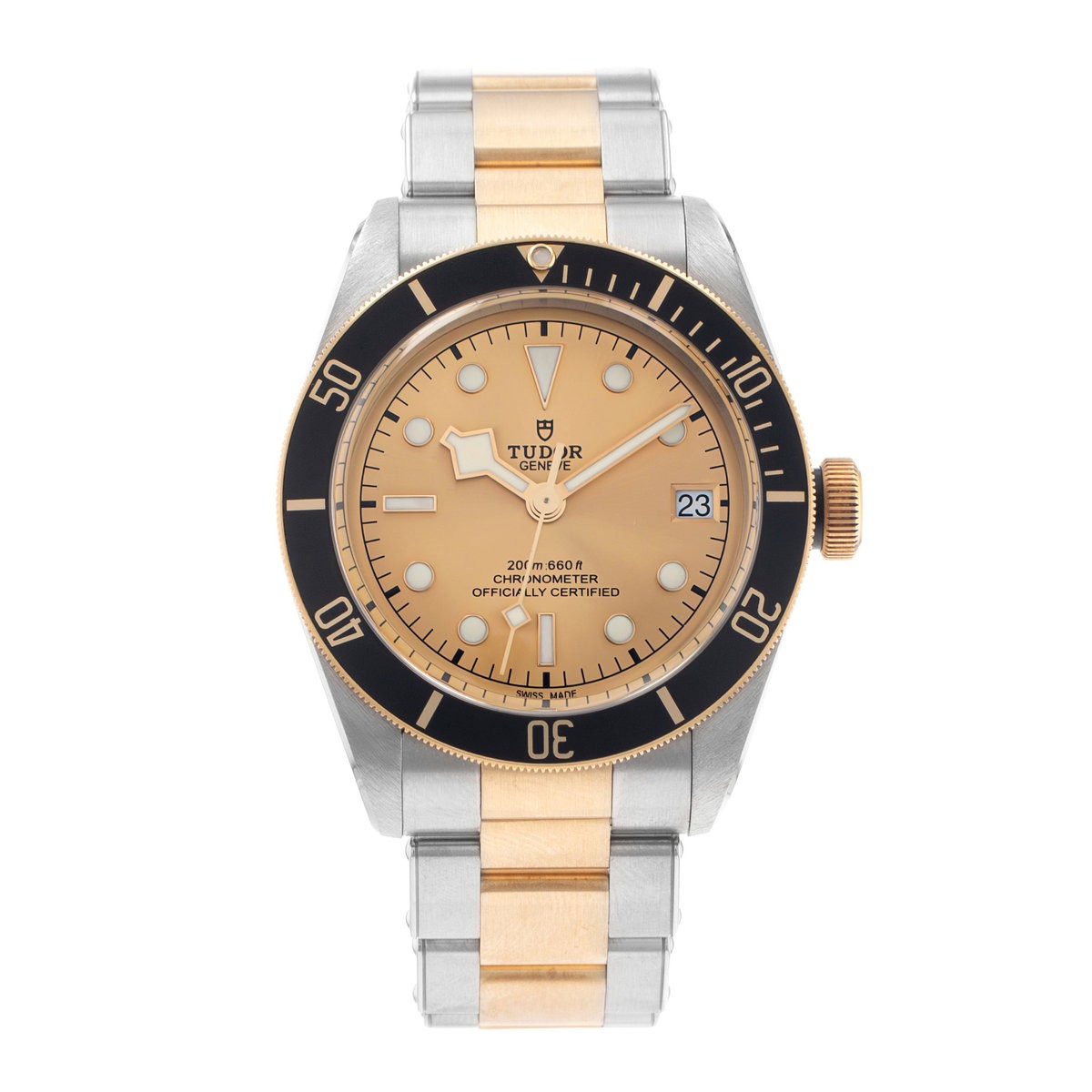 Tudor Black Bay