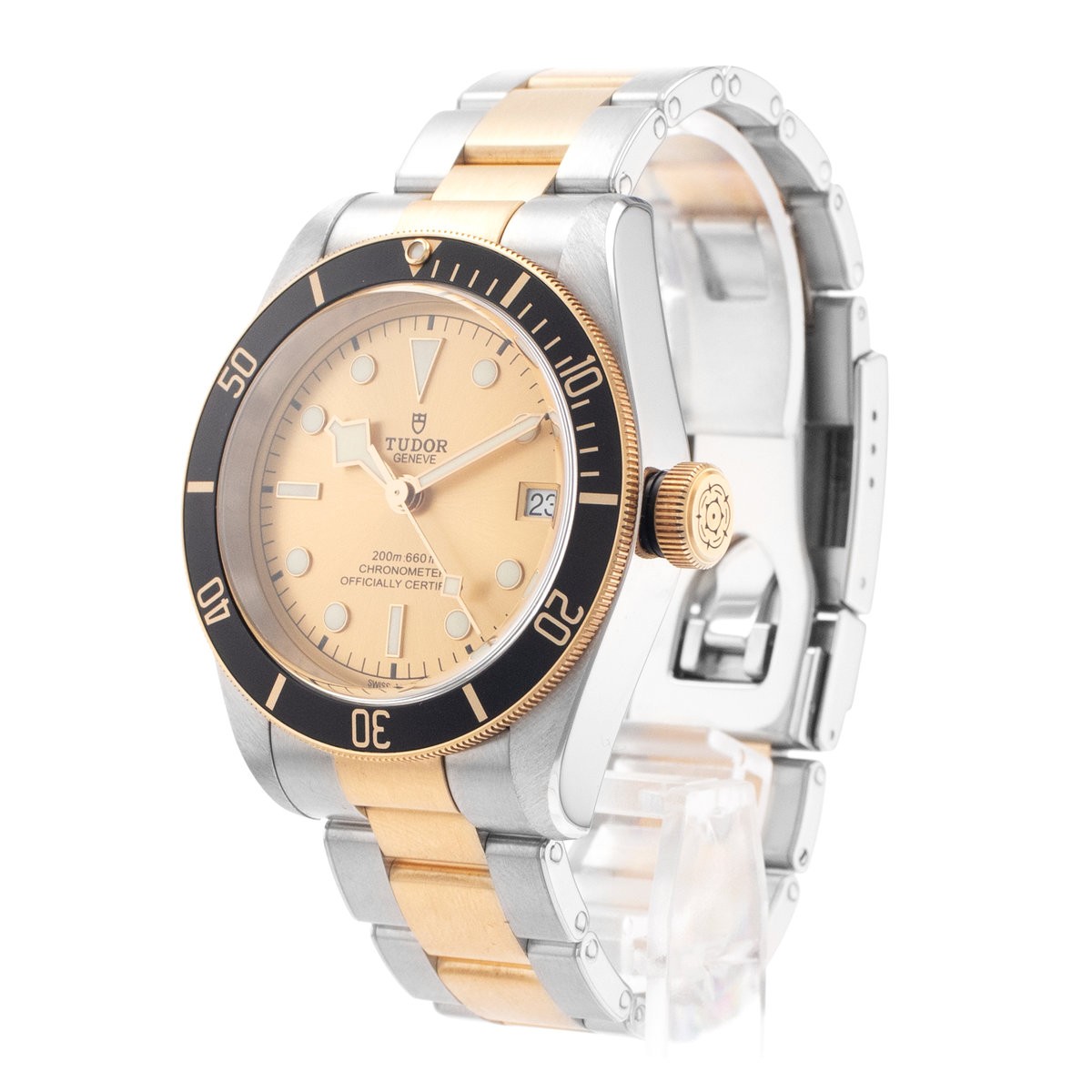 Tudor Black Bay