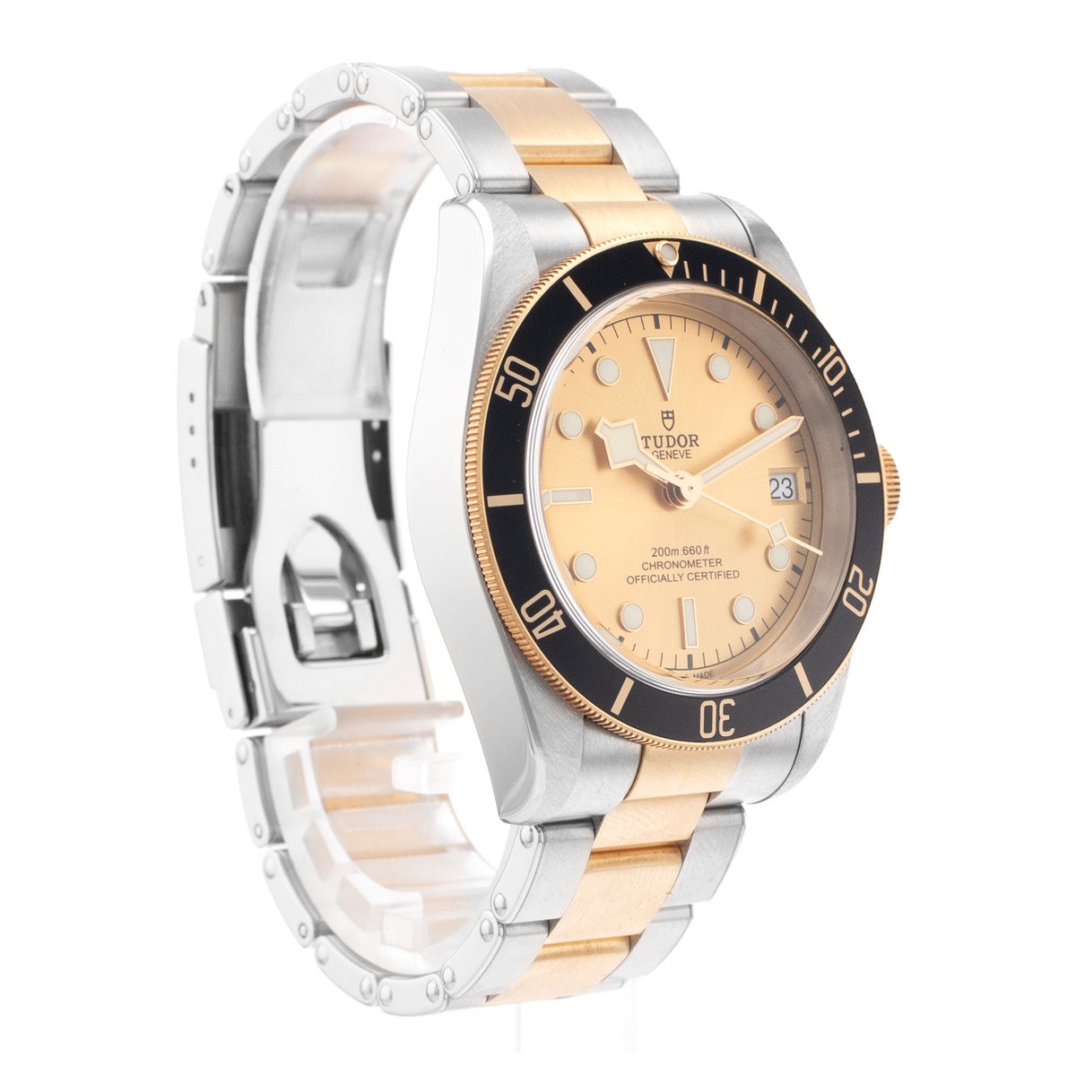 Tudor Black Bay