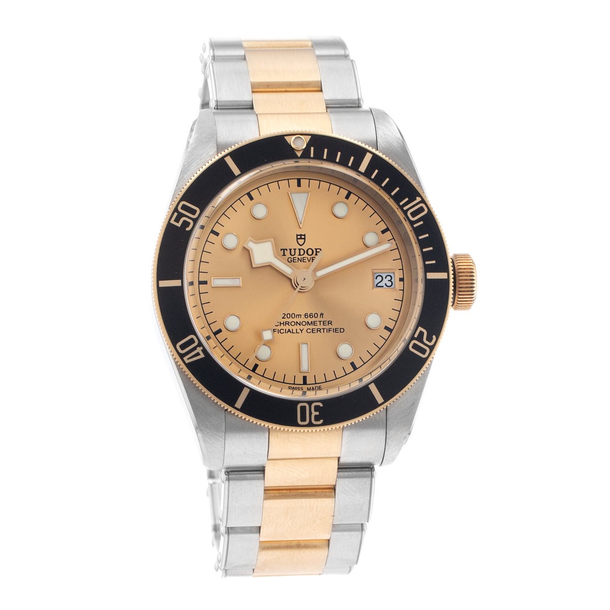 Tudor Black Bay